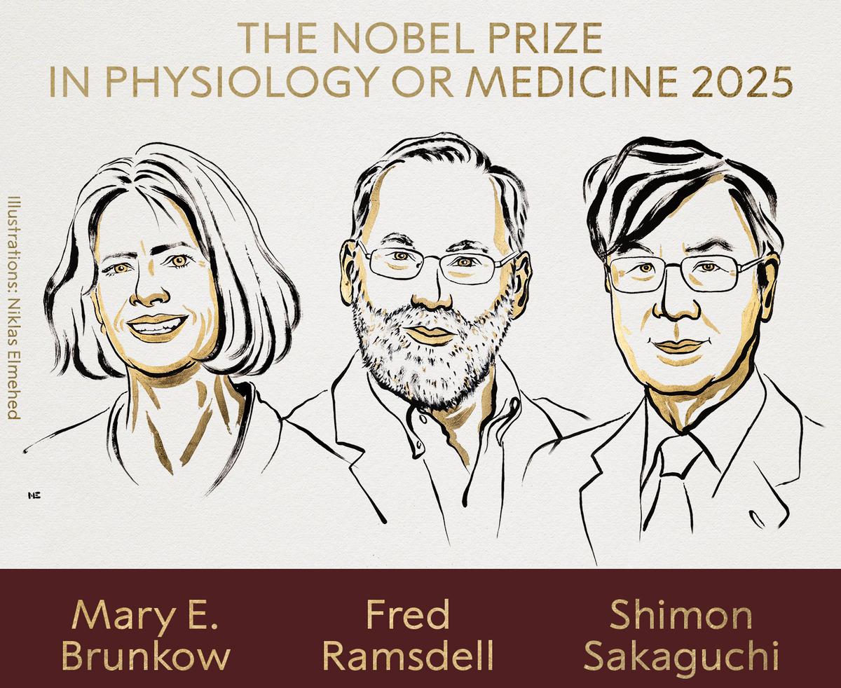 Illustration of three scientists awarded the Nobel Prize in Physiology or Medicine 2025, featuring stylized portraits with text announcing the prize.